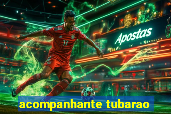 acompanhante tubarao